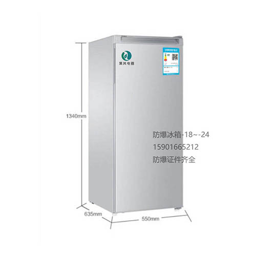 BL-LD200D立式防爆冰箱冷冻